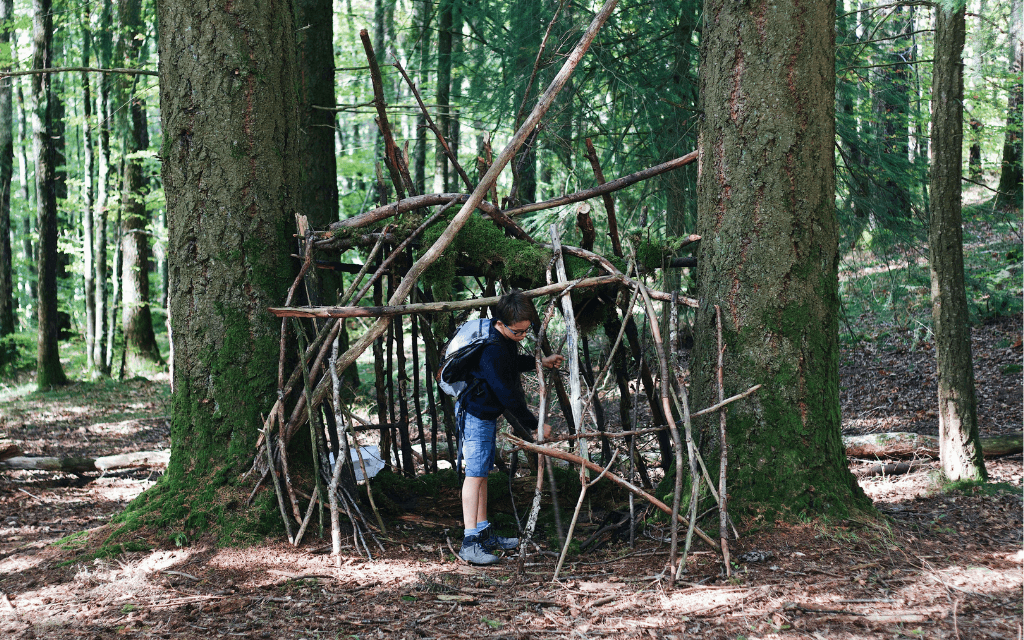 Natural-shelter-construction-sequence